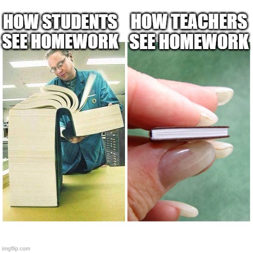 Big book vs Little Book | HOW TEACHERS SEE HOMEWORK; HOW STUDENTS SEE HOMEWORK | image tagged in big book vs little book | made w/ Imgflip meme maker