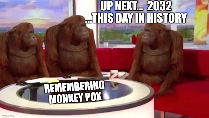 monkey pox | UP NEXT...  2032 ...THIS DAY IN HISTORY; REMEMBERING MONKEY POX | image tagged in where monkey,monkey pox,this day in history | made w/ Imgflip meme maker