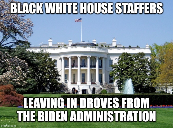 Citing no chance for advancement and no real opportunities. Pretty ironic, if you ask me. | BLACK WHITE HOUSE STAFFERS; LEAVING IN DROVES FROM THE BIDEN ADMINISTRATION | image tagged in white house | made w/ Imgflip meme maker
