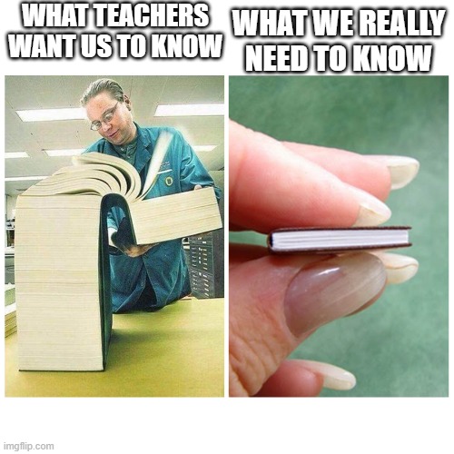 truth | WHAT TEACHERS WANT US TO KNOW; WHAT WE REALLY NEED TO KNOW | image tagged in big book vs little book | made w/ Imgflip meme maker