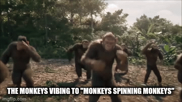 monkey spin - Imgflip