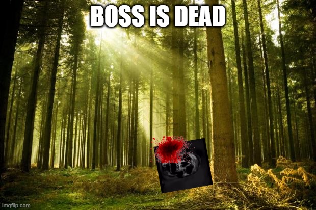 sunlit forest | BOSS IS DEAD | image tagged in sunlit forest | made w/ Imgflip meme maker