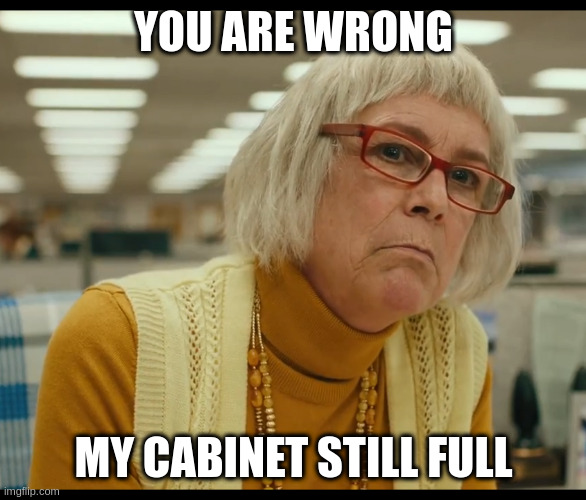 alcohol | YOU ARE WRONG MY CABINET STILL FULL | image tagged in auditor bitch | made w/ Imgflip meme maker