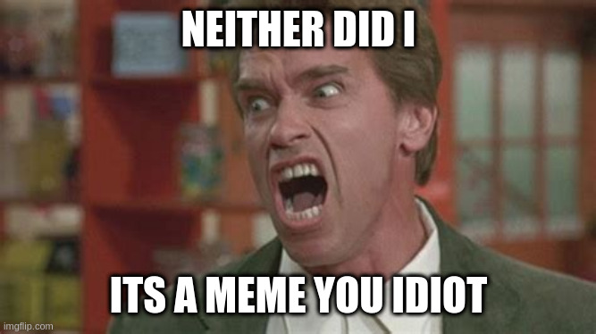 Angry |  NEITHER DID I; ITS A MEME YOU IDIOT | image tagged in angry | made w/ Imgflip meme maker