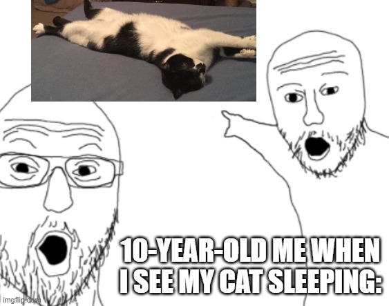 Cat sleeping | 10-YEAR-OLD ME WHEN I SEE MY CAT SLEEPING: | image tagged in funny memes | made w/ Imgflip meme maker