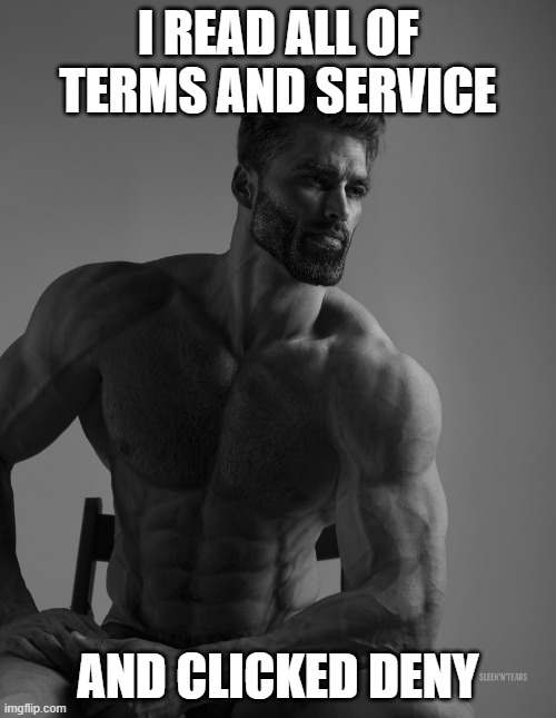 giga chad | I READ ALL OF TERMS AND SERVICE; AND CLICKED DENY | image tagged in giga chad | made w/ Imgflip meme maker