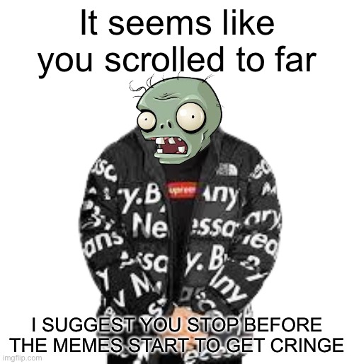 This is your final warning | It seems like you scrolled to far; I SUGGEST YOU STOP BEFORE THE MEMES START TO GET CRINGE | image tagged in stop,you have gone to far | made w/ Imgflip meme maker