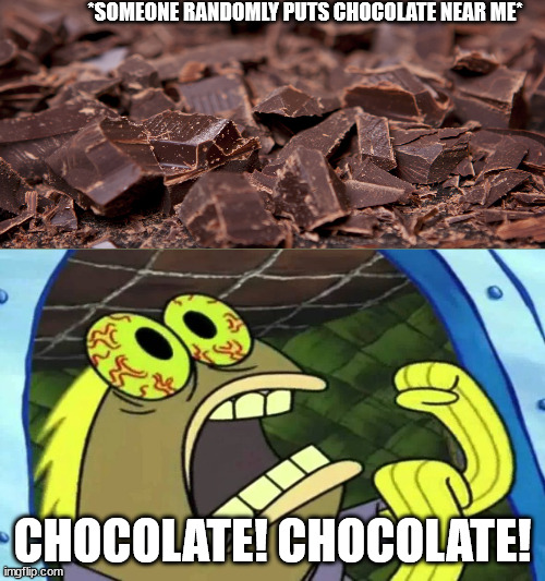 When i see chocolate: | *SOMEONE RANDOMLY PUTS CHOCOLATE NEAR ME*; CHOCOLATE! CHOCOLATE! | image tagged in spongebob chocolate | made w/ Imgflip meme maker