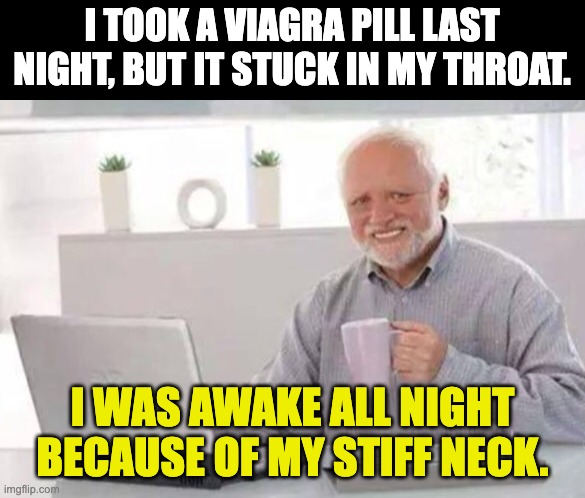 Harold | I TOOK A VIAGRA PILL LAST NIGHT, BUT IT STUCK IN MY THROAT. I WAS AWAKE ALL NIGHT BECAUSE OF MY STIFF NECK. | image tagged in harold | made w/ Imgflip meme maker