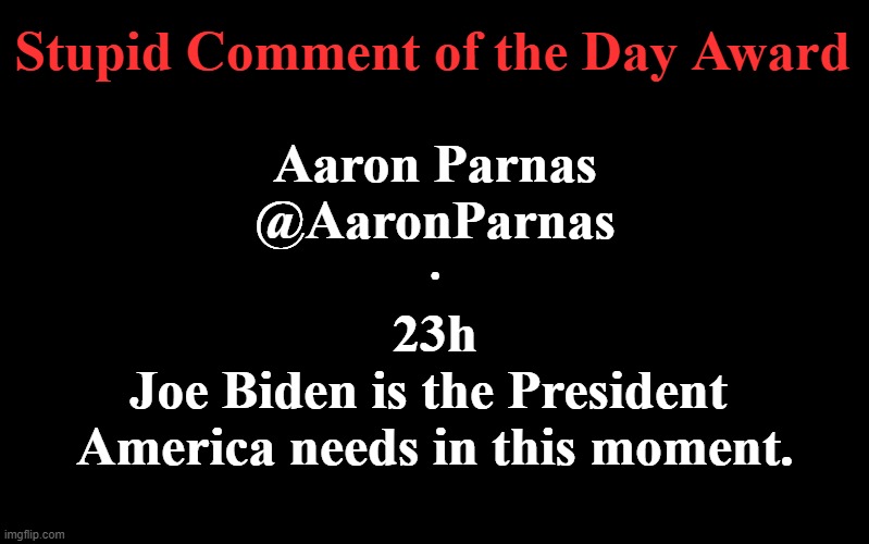 This guy must have consumed the ENTIRE Kool-Aid bottle. | Stupid Comment of the Day Award; Aaron Parnas
@AaronParnas
·
23h
Joe Biden is the President 
America needs in this moment. | image tagged in politics,wtf,joe biden,incompetence,democrats,mental health | made w/ Imgflip meme maker