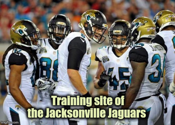jacksonville jaguars | Training site of the Jacksonville Jaguars | image tagged in jacksonville jaguars | made w/ Imgflip meme maker
