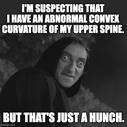 Igor | I'M SUSPECTING THAT I HAVE AN ABNORMAL CONVEX CURVATURE OF MY UPPER SPINE. BUT THAT'S JUST A HUNCH. | image tagged in igor | made w/ Imgflip meme maker