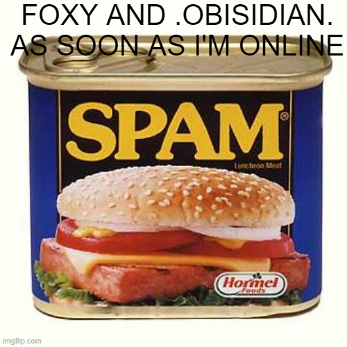 spam | FOXY AND .OBISIDIAN. AS SOON AS I'M ONLINE | image tagged in spam | made w/ Imgflip meme maker