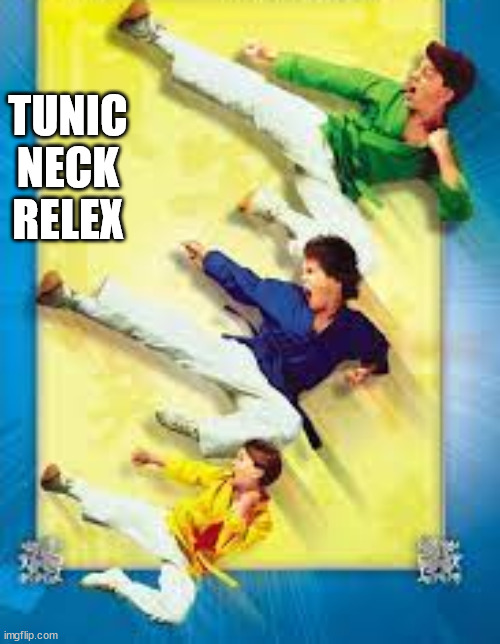 Tunic Neck Reflex | TUNIC NECK RELEX | image tagged in funny | made w/ Imgflip meme maker