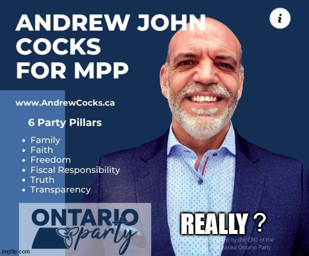Politics | REALLY; ? | image tagged in ontario party,mpp,wtf | made w/ Imgflip meme maker