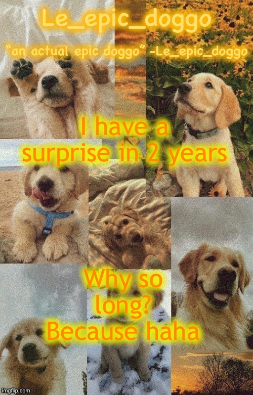Doggo temp by doggo. Wait what that’s confusing | I have a surprise in 2 years; Why so long? Because haha | image tagged in doggo temp by doggo wait what that s confusing | made w/ Imgflip meme maker