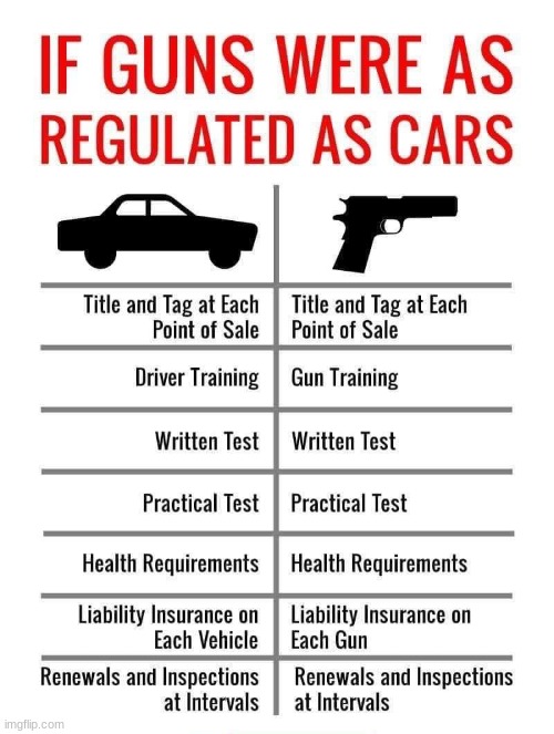 Guns and car regulation | image tagged in guns and car regulation | made w/ Imgflip meme maker