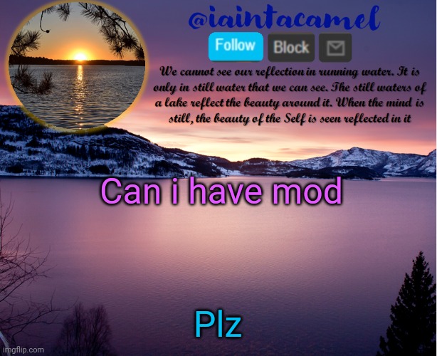 iaintacamel | Can i have mod; Plz | image tagged in iaintacamel | made w/ Imgflip meme maker