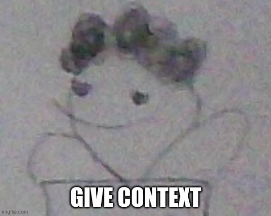 smug ahh idiot | GIVE CONTEXT | image tagged in smug ahh idiot | made w/ Imgflip meme maker