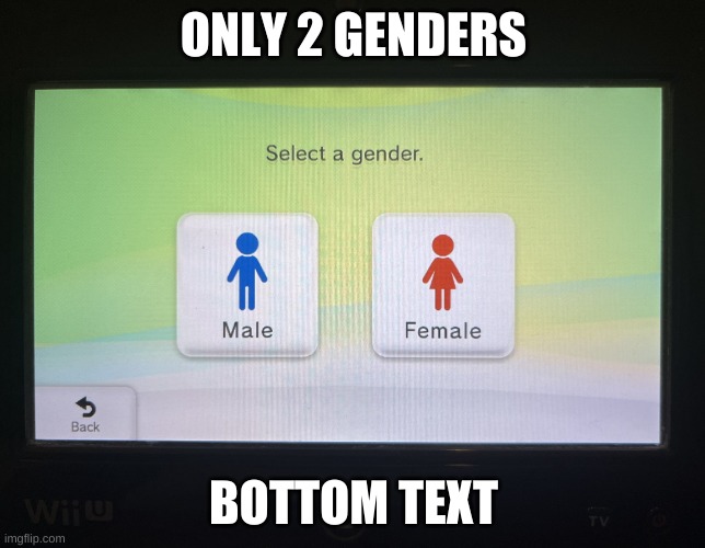 There are 2 genders confirmed | ONLY 2 GENDERS; BOTTOM TEXT | image tagged in there are 2 genders confirmed | made w/ Imgflip meme maker