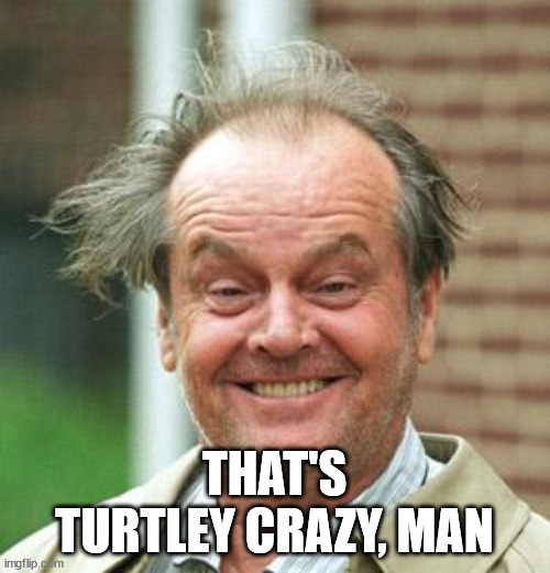 Jack Nicholson Crazy Hair | THAT'S TURTLEY CRAZY, MAN | image tagged in jack nicholson crazy hair | made w/ Imgflip meme maker