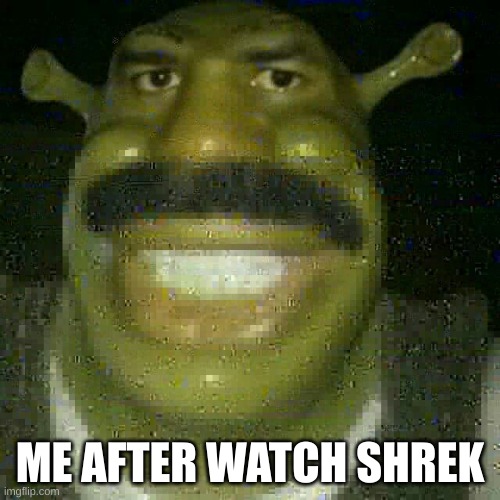 warning don't watch shrek | ME AFTER WATCH SHREK | image tagged in funny memes,the scroll of truth | made w/ Imgflip meme maker