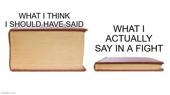 Related? | WHAT I ACTUALLY SAY IN A FIGHT; WHAT I THINK I SHOULD HAVE SAID | image tagged in big book small book | made w/ Imgflip meme maker