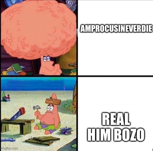 patrick big brain | AMPROCUSINEVERDIE REAL HIM BOZO | image tagged in patrick big brain | made w/ Imgflip meme maker