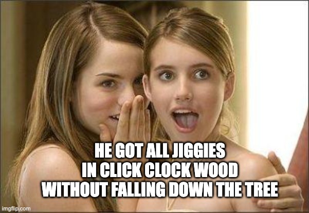 He got all jiggies in Click Clock Wood without falling down the tree | HE GOT ALL JIGGIES IN CLICK CLOCK WOOD WITHOUT FALLING DOWN THE TREE | image tagged in girls gossiping,banjo,kazooie | made w/ Imgflip meme maker