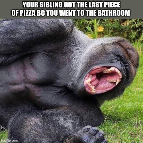 YOUR SIBLING GOT THE LAST PIECE OF PIZZA BC YOU WENT TO THE BATHROOM | image tagged in funny memes | made w/ Imgflip meme maker
