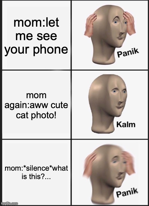 Panik Kalm Panik | mom:let me see your phone; mom again:aww cute cat photo! mom:*silence*what is this?... | image tagged in memes,panik kalm panik | made w/ Imgflip meme maker