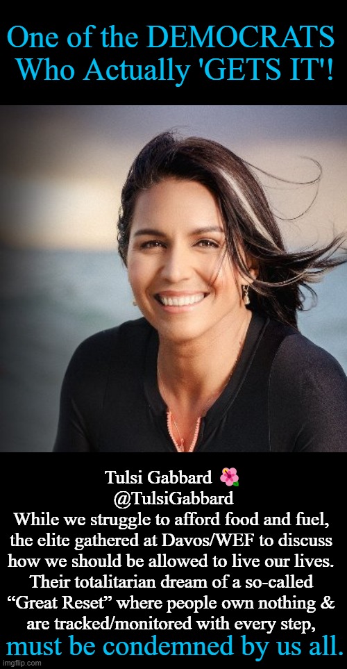 It is imperative to 'Critically Think' today when radical leftists just 'Don't Think'. Democrats should be more like Tulsi.... |  One of the DEMOCRATS 
Who Actually 'GETS IT'! Tulsi Gabbard 🌺
@TulsiGabbard
While we struggle to afford food and fuel, 
the elite gathered at Davos/WEF to discuss 
how we should be allowed to live our lives. 
Their totalitarian dream of a so-called 
“Great Reset” where people own nothing & 
are tracked/monitored with every step, must be condemned by us all. | image tagged in politics,democrats,tulsi gabbard,globalism,the great reset,totalitarian | made w/ Imgflip meme maker