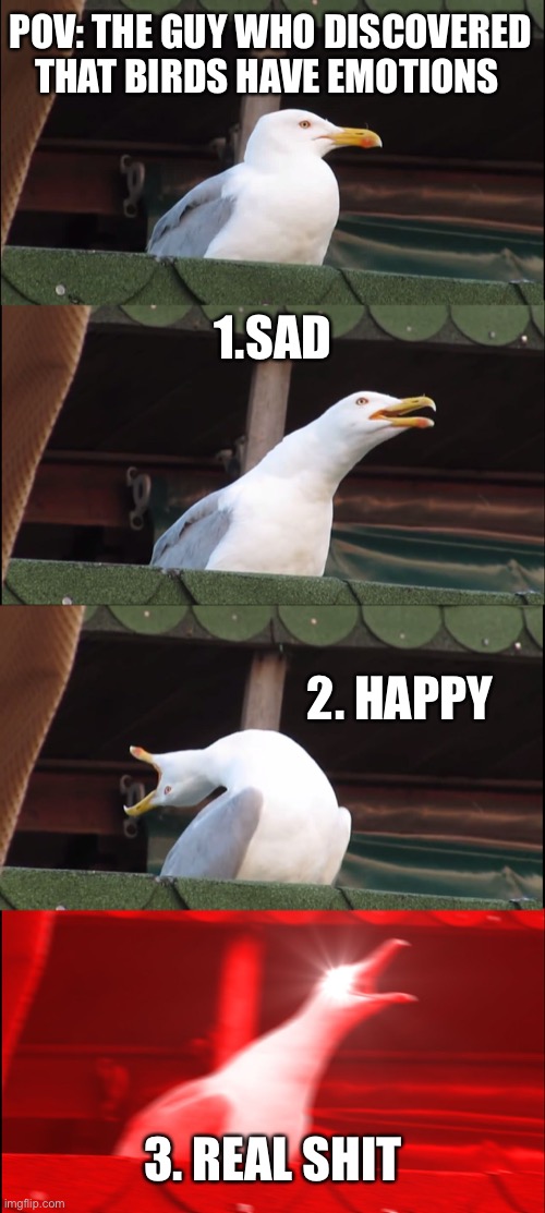 Birds have emotional damage | POV: THE GUY WHO DISCOVERED THAT BIRDS HAVE EMOTIONS; 1.SAD; 2. HAPPY; 3. REAL SHIT | image tagged in memes,inhaling seagull | made w/ Imgflip meme maker