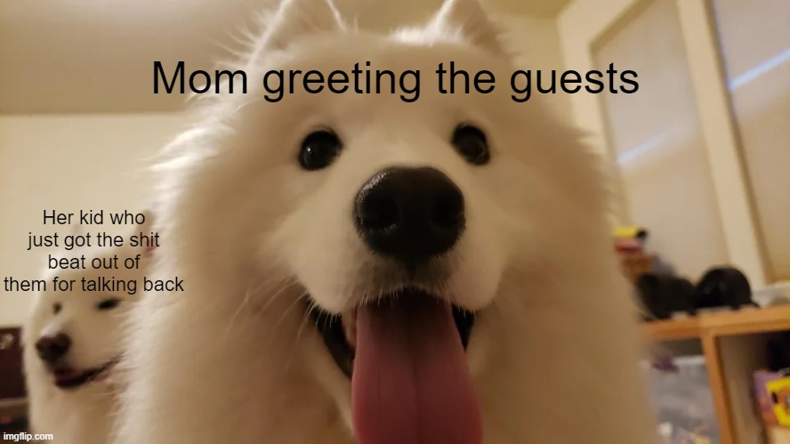 yee haw | Mom greeting the guests; Her kid who just got the shit beat out of them for talking back | image tagged in dog | made w/ Imgflip meme maker
