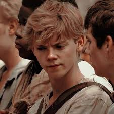 High Quality Newt maze runner Blank Meme Template