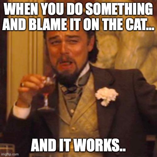Laughing Leo | WHEN YOU DO SOMETHING AND BLAME IT ON THE CAT... AND IT WORKS.. | image tagged in memes,laughing leo | made w/ Imgflip meme maker