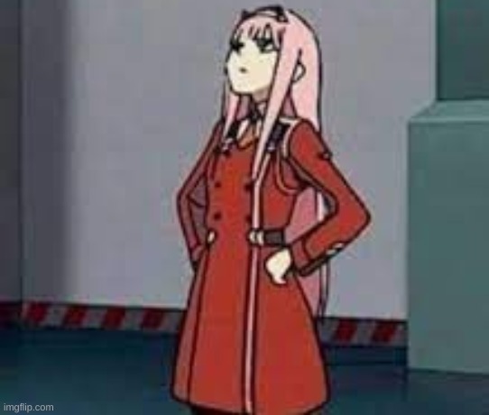 zero two what | image tagged in zero two what | made w/ Imgflip meme maker