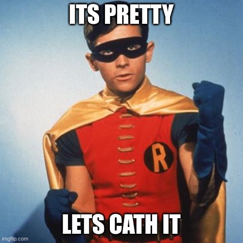 Robin | ITS PRETTY; LETS CATH IT | image tagged in robin | made w/ Imgflip meme maker