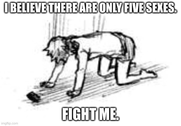 just to be clear, gender is different from sex | I BELIEVE THERE ARE ONLY FIVE SEXES. FIGHT ME. | image tagged in anime sad manga | made w/ Imgflip meme maker