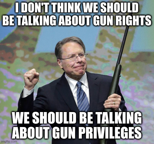 And some of you shouldn't have that privilege | I DON'T THINK WE SHOULD BE TALKING ABOUT GUN RIGHTS; WE SHOULD BE TALKING ABOUT GUN PRIVILEGES | image tagged in nra,gun righs,gun privileges | made w/ Imgflip meme maker