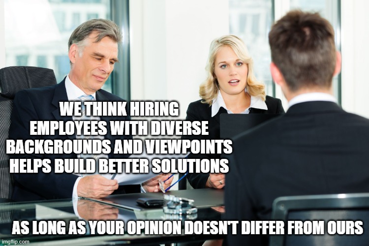 job interview | WE THINK HIRING EMPLOYEES WITH DIVERSE BACKGROUNDS AND VIEWPOINTS HELPS BUILD BETTER SOLUTIONS; AS LONG AS YOUR OPINION DOESN'T DIFFER FROM OURS | image tagged in job interview | made w/ Imgflip meme maker