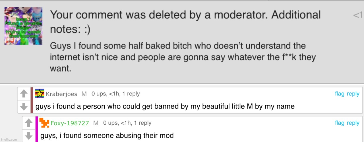 Mod abuse [also semi-based foxy what the cola on a cherry tomato] | made w/ Imgflip meme maker