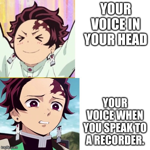 Tanjiro reaction | YOUR VOICE IN YOUR HEAD; YOUR VOICE WHEN YOU SPEAK TO A RECORDER. | image tagged in tanjiro reaction | made w/ Imgflip meme maker
