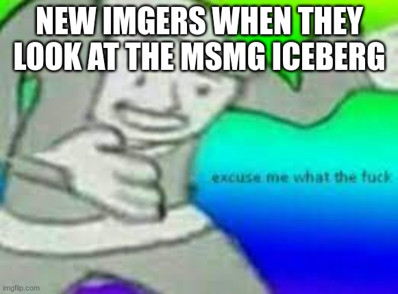 exuse me wtf | NEW IMGERS WHEN THEY LOOK AT THE MSMG ICEBERG | image tagged in exuse me wtf | made w/ Imgflip meme maker