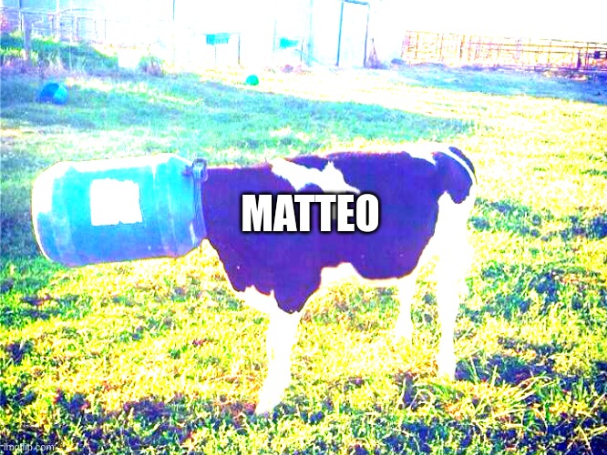 bigdaddycow.jpeg | MATTEO | image tagged in memes | made w/ Imgflip meme maker