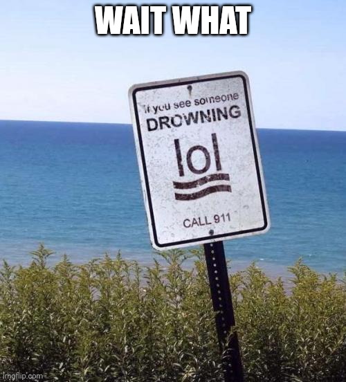 If you see someone drowning lol | WAIT WHAT | image tagged in lol,drowning,call 911 | made w/ Imgflip meme maker