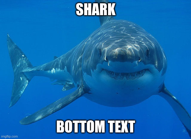 I had no creativity |  SHARK; BOTTOM TEXT | image tagged in great white shark | made w/ Imgflip meme maker