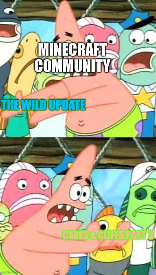 Basically the wild update | MINECRAFT COMMUNITY; THE WILD UPDATE; CAVES & CLIFFS PART 3 | image tagged in memes,put it somewhere else patrick,the wild update | made w/ Imgflip meme maker