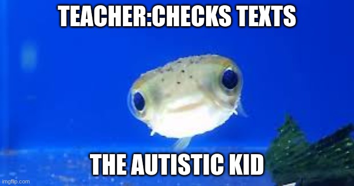 sped kid | TEACHER:CHECKS TEXTS; THE AUTISTIC KID | image tagged in dank memes | made w/ Imgflip meme maker