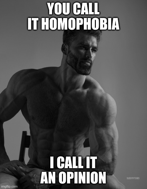 Giga Chad | YOU CALL IT HOMOPHOBIA I CALL IT AN OPINION | image tagged in giga chad | made w/ Imgflip meme maker